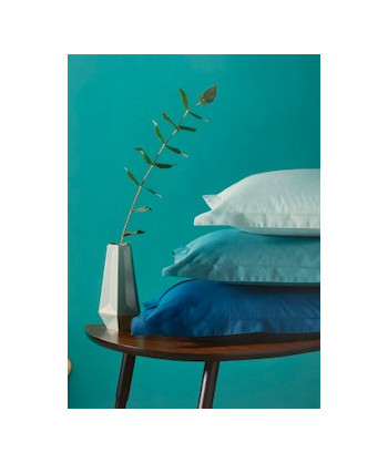 COPPIA FEDERE PAINT RIVIERA